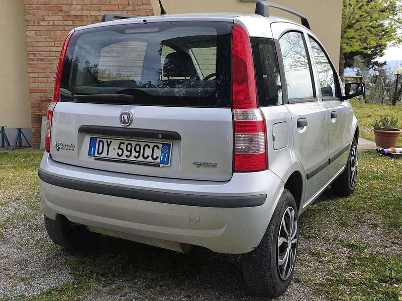 Usata Fiat Panda Dynamic 60 CV (44 kW) 2009 Grigio Utilitaria
