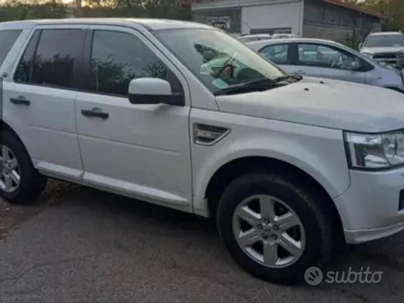 Usata Land Rover Freelander 2 S 190 CV (139 kW) 2012 Bianco SUV