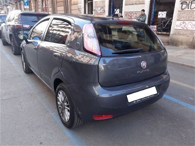 Usato 2013 Fiat Punto 1.2 Diesel 95 CV (4.750 €)