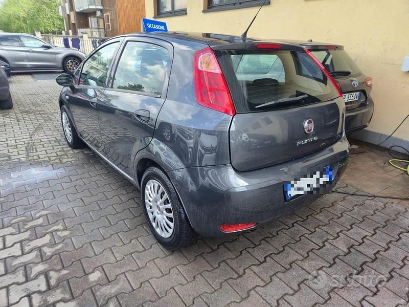 Usata Fiat Punto Lounge 69 CV (50 kW) 2016 Grigio Utilitaria
