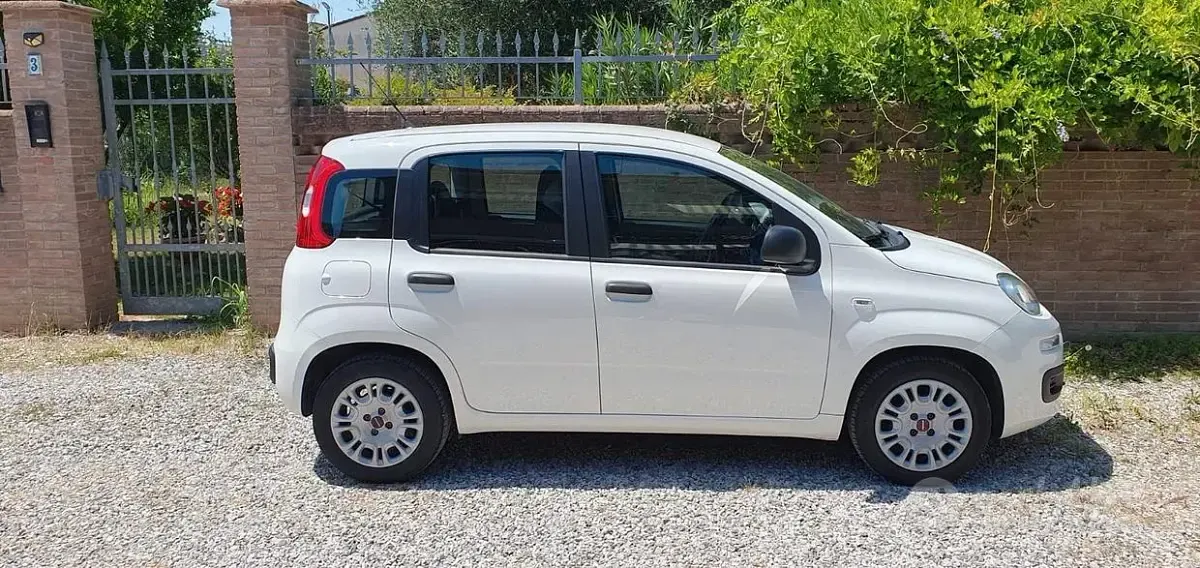 Usata Fiat Panda 69 CV (50 kW) 2019 Bianco Utilitaria