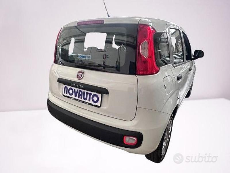 Usata Fiat Panda Easy 69 CV (50 kW) 2019 Bianco Utilitaria