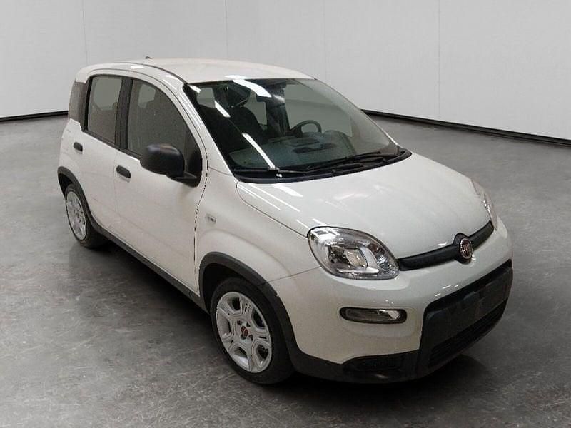 Usata Fiat Panda S 69 CV (50 kW) 2024 Bianco Utilitaria