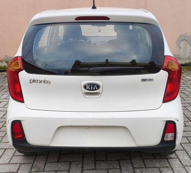 Usata Kia Picanto City 67 CV (49 kW) 2016 Bianco Utilitaria