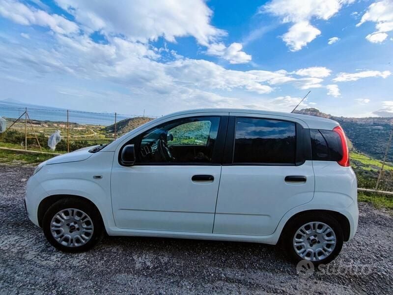 Usata Fiat Panda 69 CV (50 kW) 2018 Bianco Utilitaria