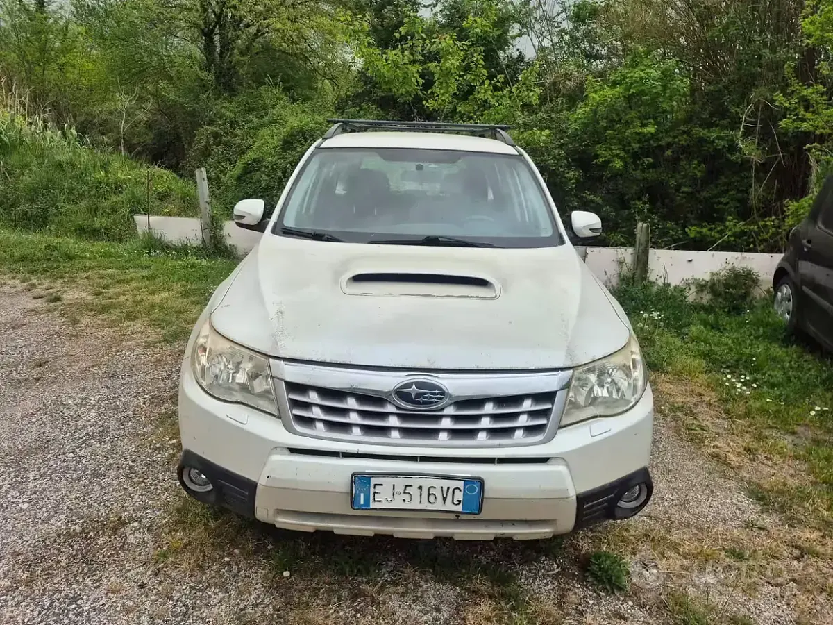 Usata Subaru Forester 147 CV (108 kW) 2011 Giallo SUV