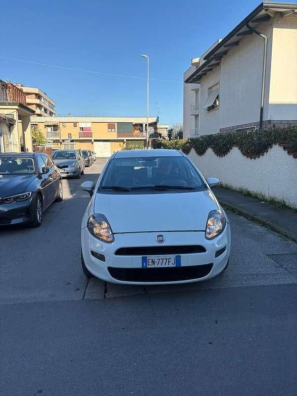 Usata Fiat Punto Evo Active 77 CV (56 kW) 2012 Utilitaria
