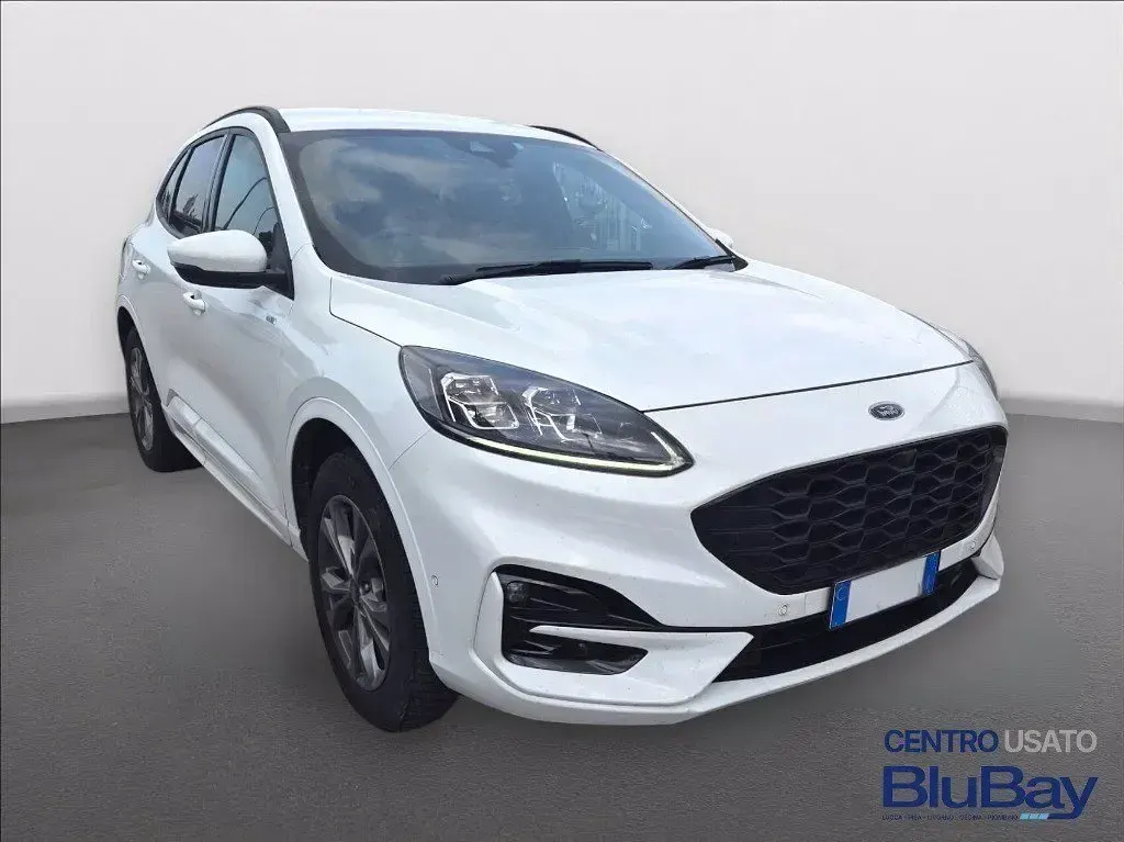 Usata Ford Kuga ST-Line 225 CV (165 kW) 2023 Frozen white SUV
