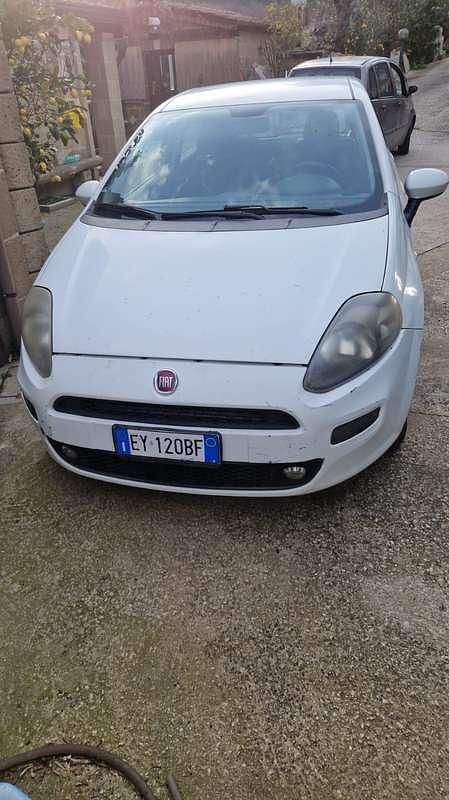 Usata Fiat Punto Easy 77 CV (56 kW) 2014 Utilitaria