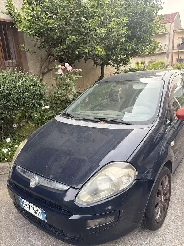 Usata Fiat Punto Evo Active 75 CV (55 kW) 2010 Utilitaria