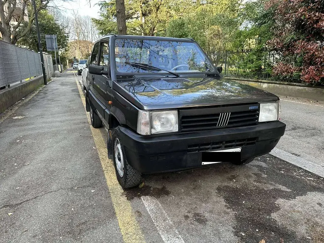 Usata Fiat Panda 4x4 Trekking 54 CV (39 kW) 1996 Grigio Utilitaria