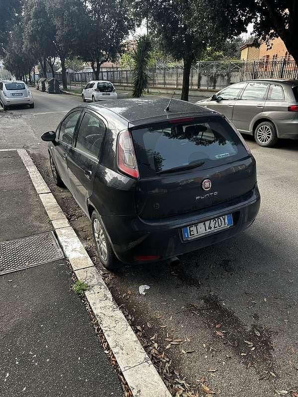 Usata Fiat Punto Pop 75 CV (55 kW) 2013 Utilitaria