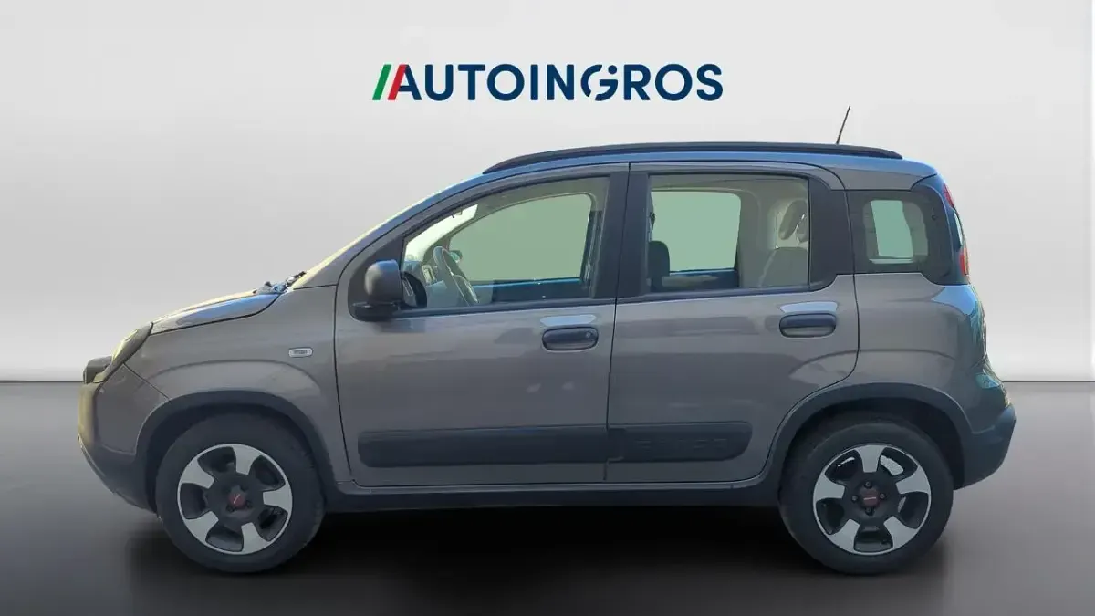 Usata Fiat Panda Cross Cross 69 CV (50 kW) 2021 Grigio Utilitaria