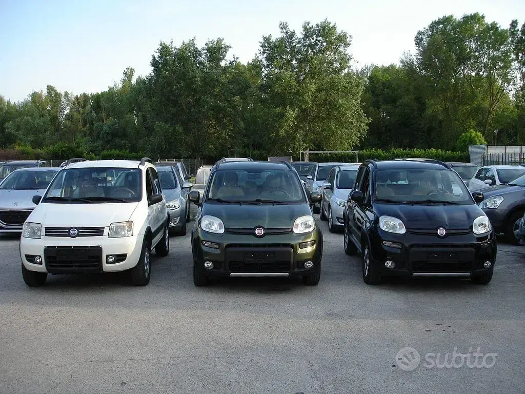 Usata Fiat Panda 4x4 Climbing 75 CV (55 kW) 2014 Nero Utilitaria