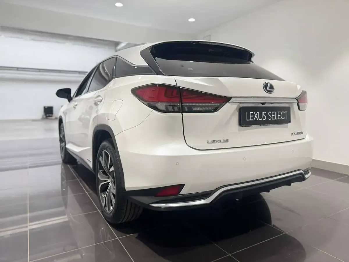 Usata Lexus RX450h Executive Line 262 CV (192 kW) 2019 Bianco perla SUV