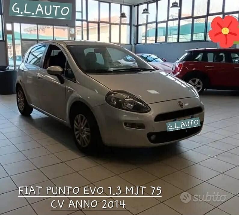 Usata Fiat Punto Evo Lounge 75 CV (55 kW) 2014 Grigio Utilitaria