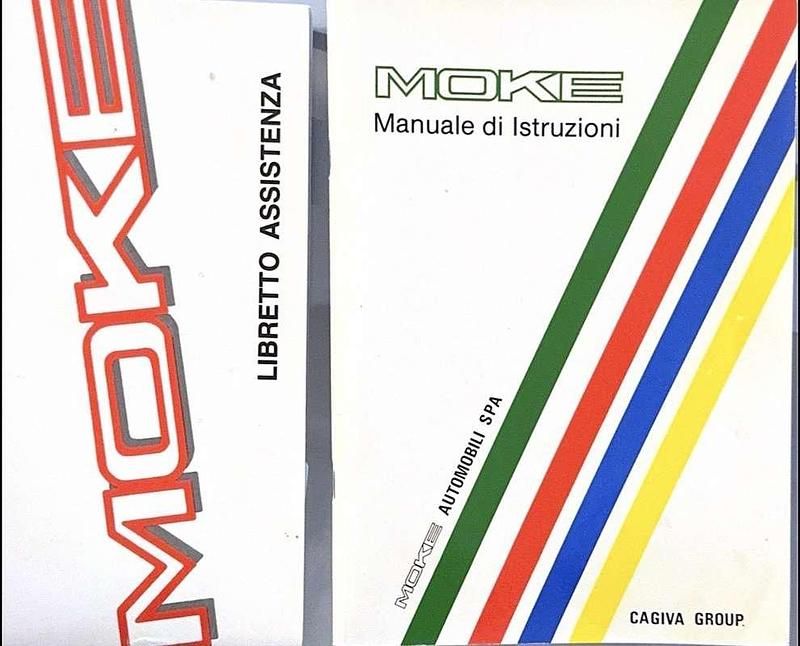 Usata Austin Mini 1993