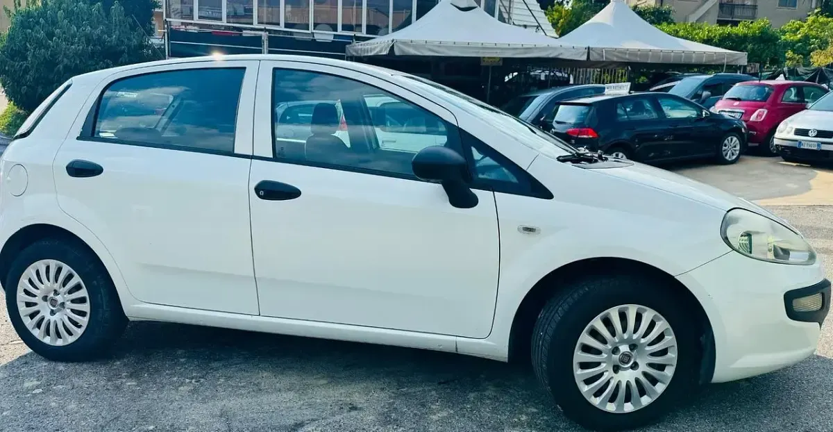 Usata Fiat Punto Evo 75 CV (55 kW) 2013 Bianco Utilitaria