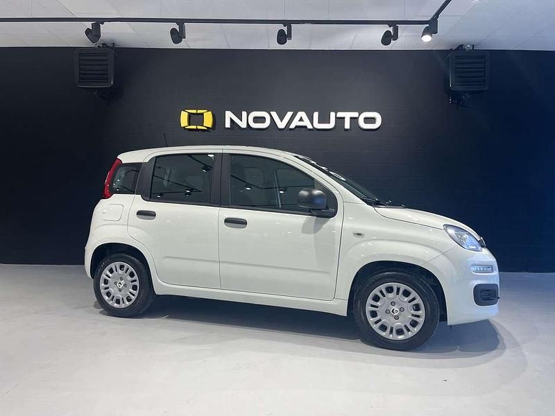 Nuova Fiat Panda Icon 69 CV (50 kW) 2025 Bianco Utilitaria