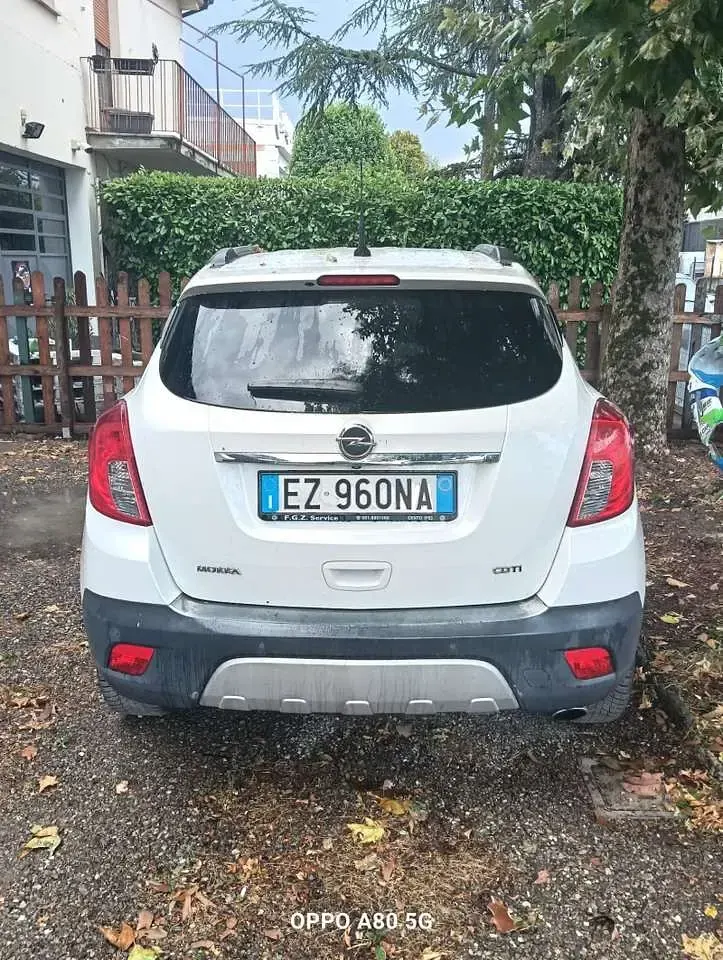 Usata Opel Mokka Cosmo 131 CV (96 kW) 2015 Bianco SUV