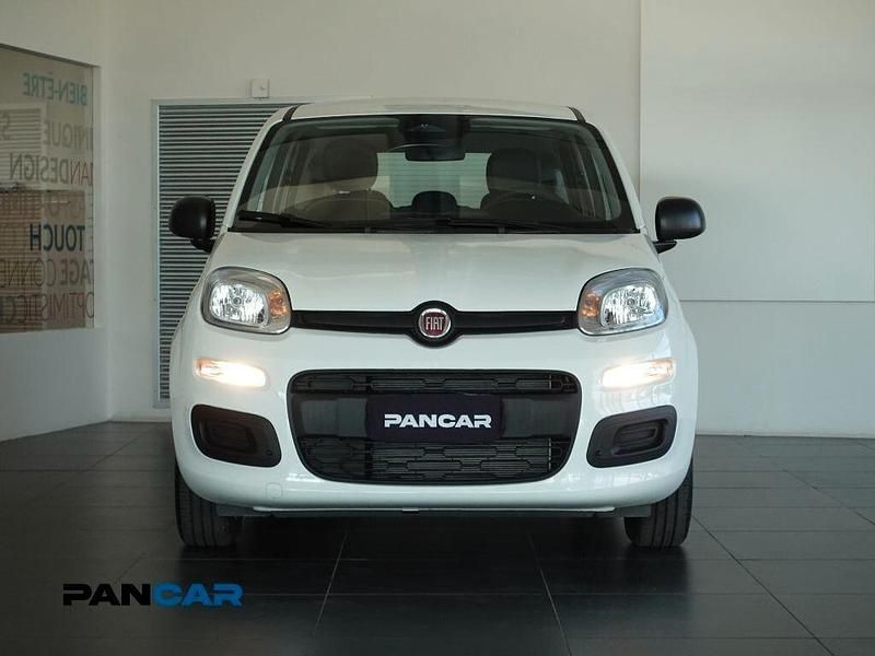Nuova Fiat Panda S 69 CV (50 kW) 2025 Bianco Utilitaria