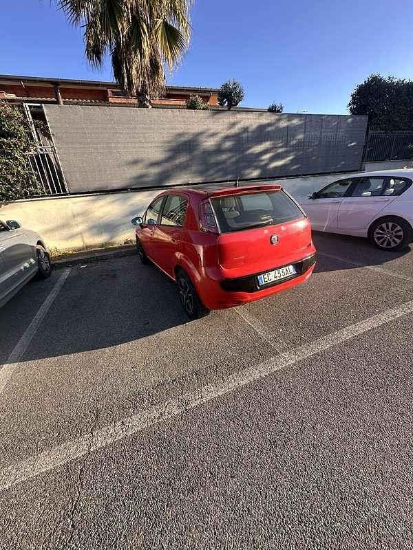 Usata Fiat Punto Evo Dynamic 95 CV (69 kW) 2010 Utilitaria