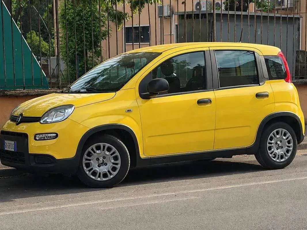 Usata Fiat Panda S 69 CV (50 kW) 2024 Giallo Utilitaria