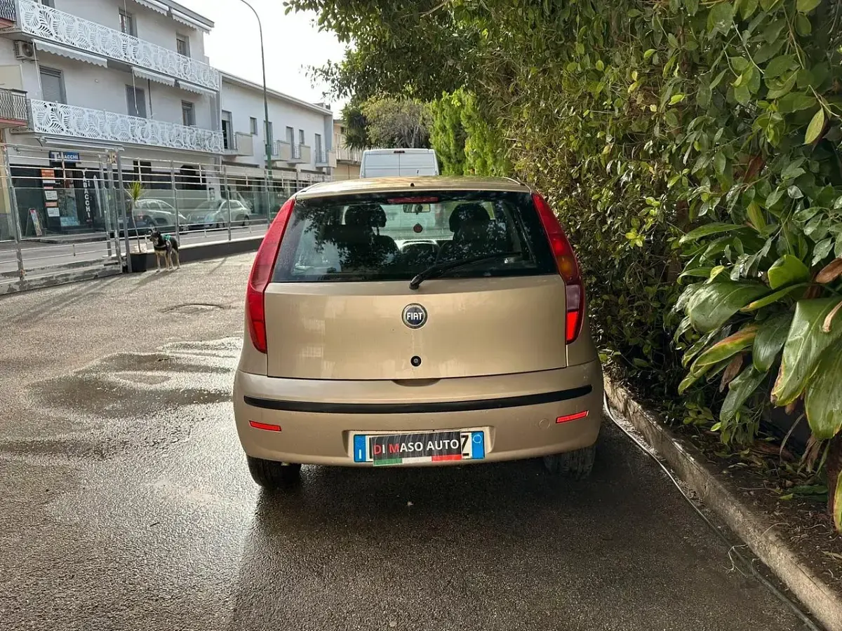 Usata Fiat Punto Active 60 CV (44 kW) 2009 Oro Utilitaria
