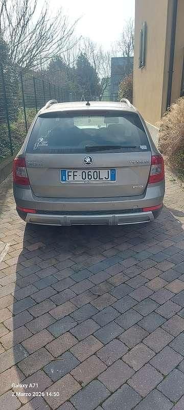 Usata Skoda Octavia Scout 4x4 184 CV (135 kW) 2016 Utilitaria