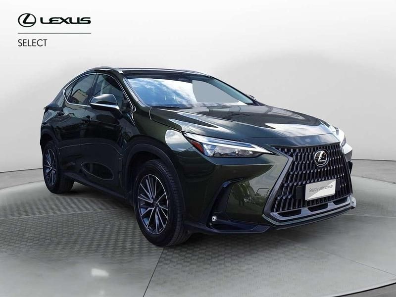 Usata Lexus NX300 243 CV (178 kW) 2023 Verde SUV