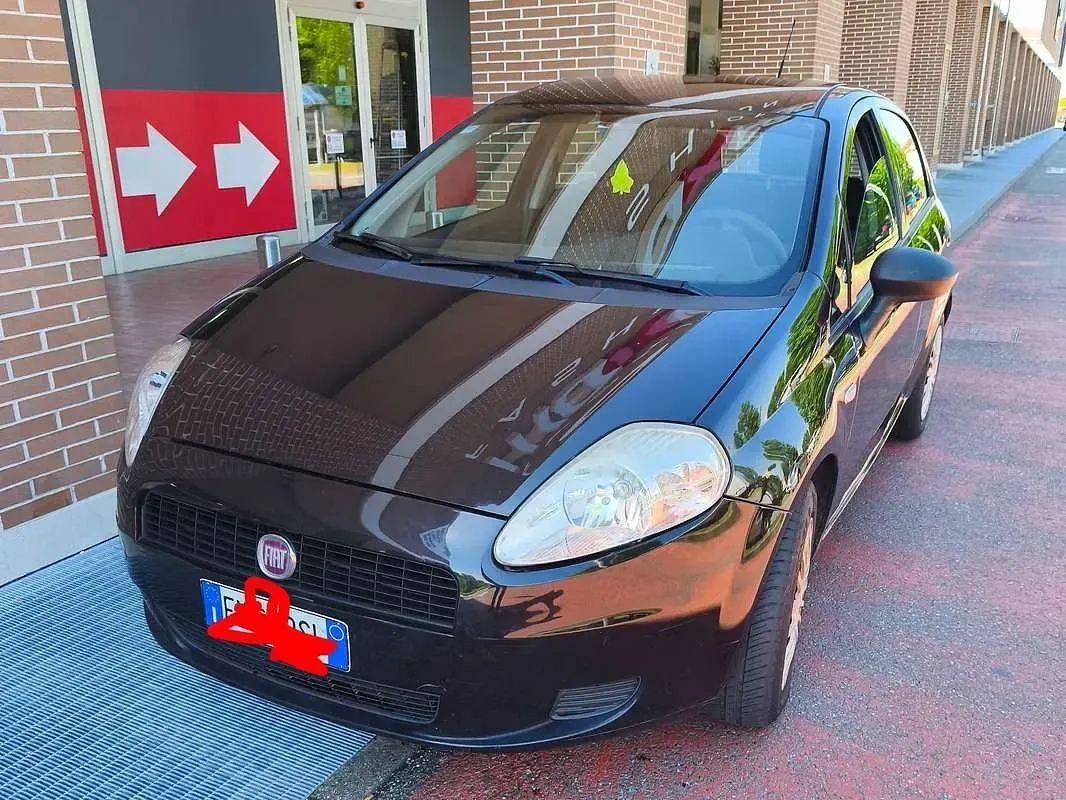 Usata Fiat Punto Evo Dynamic 69 CV (50 kW) 2012 Utilitaria