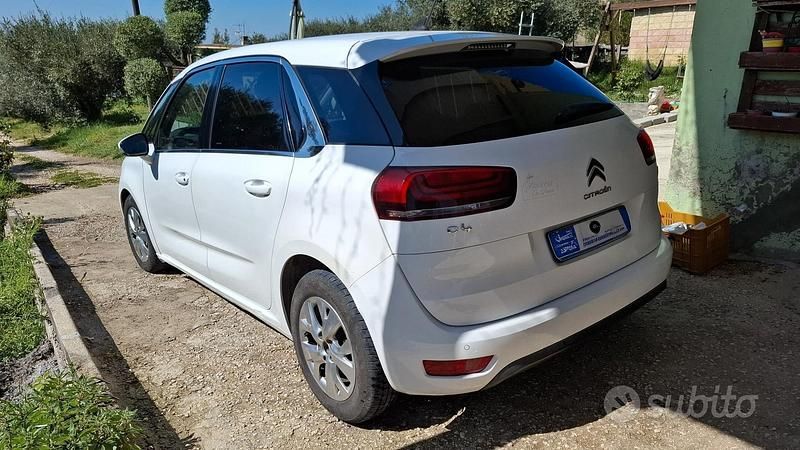 Usata Citroën C4 Picasso 120 CV (88 kW) 2018 Bianco Monovolume