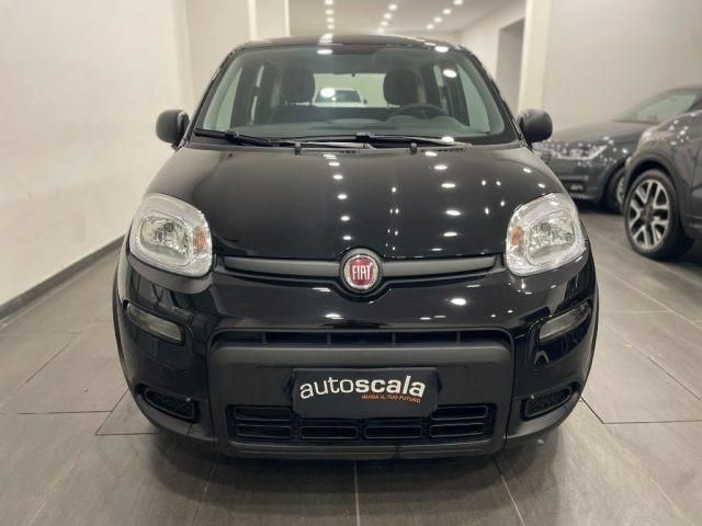 Usata Fiat Panda S 69 CV (50 kW) 2023 Nero Utilitaria