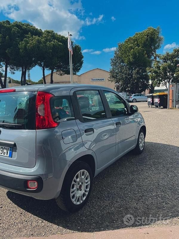 Usata Fiat Panda Easy 69 CV (50 kW) 2020 Grigio Utilitaria