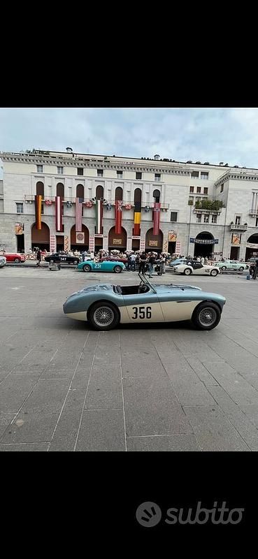 Usata Austin Healey 100 1950 Grigio Cabrio