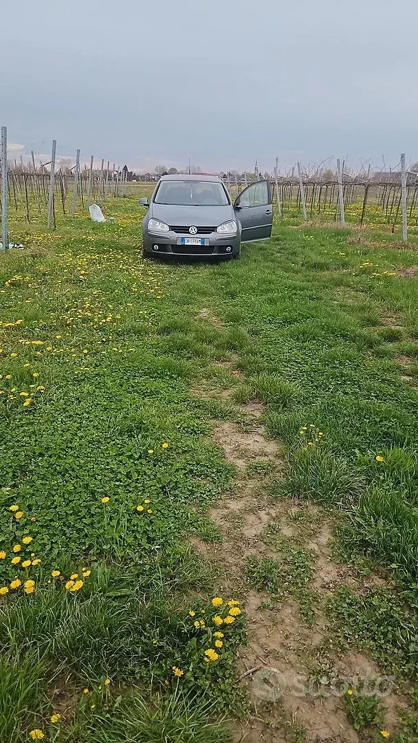 Usata VW Golf V 105 CV (77 kW) 2008 Grigio Station wagon