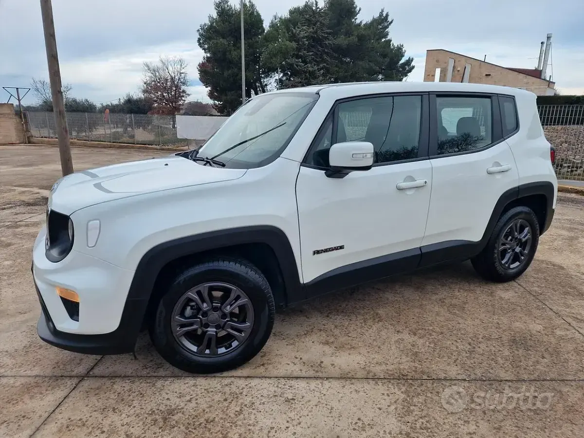 Usata Jeep Renegade Longitude 130 CV (95 kW) 2021 Bianco SUV