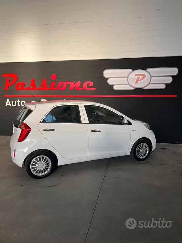 Usata Kia Picanto 67 CV (49 kW) 2015 Bianco Utilitaria