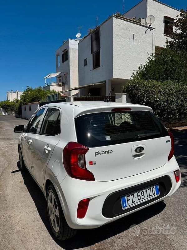 Usata Kia Picanto 2020 Bianco Utilitaria