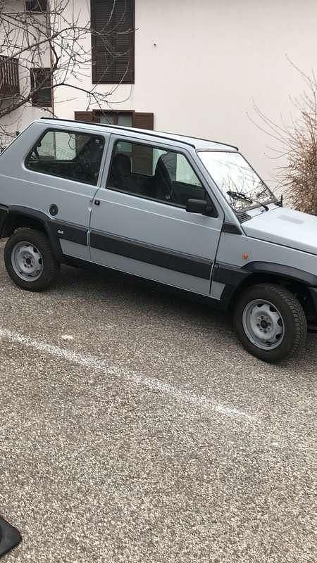 Usata Fiat Panda 4x4 Trekking 54 CV (39 kW) 2000 Utilitaria