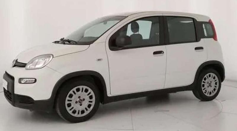 Usata Fiat Panda 69 CV (50 kW) 2021 Bianco gelato pastello extra Utilitaria