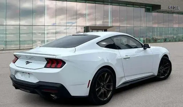 Usata Ford Mustang Fastback 318 CV (233 kW) 2024 Bianco pastello