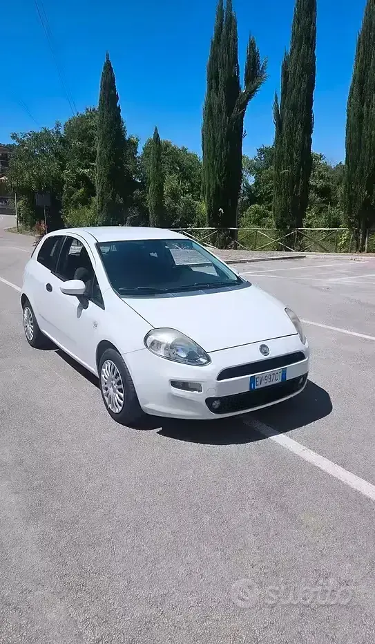 Usata Fiat Punto Lounge 77 CV (56 kW) 2014 Bianco Utilitaria