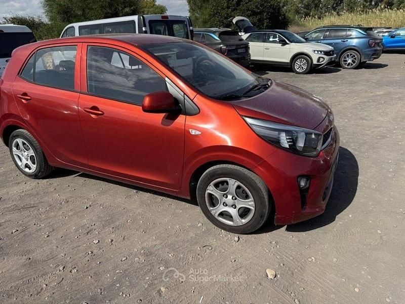Usata Kia Picanto Urban 67 CV (49 kW) 2023 Rosso Utilitaria