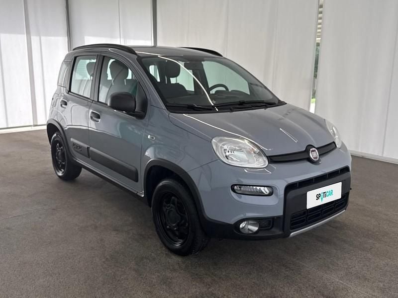 Usata Fiat Panda 4x4 Wild 86 CV (63 kW) 2021 Grigio Utilitaria