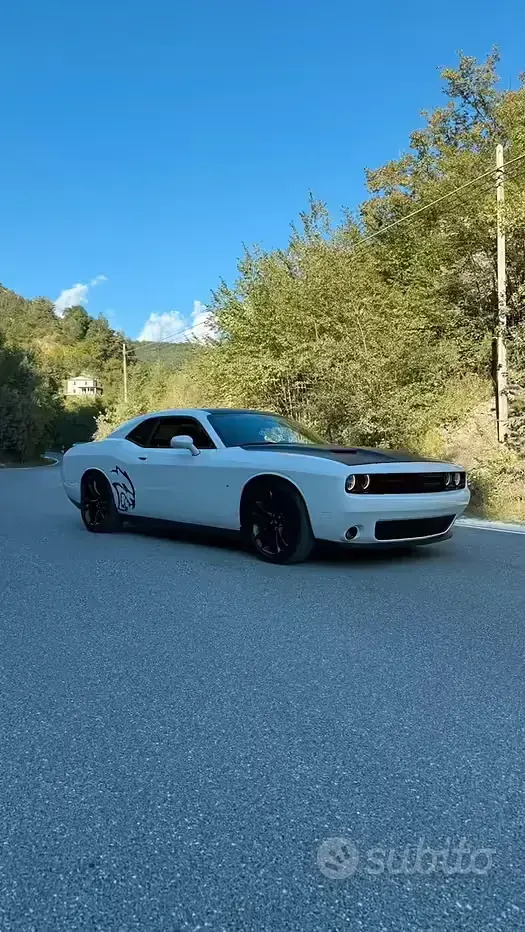 Usata Dodge Challenger 2018 Bianco Coupé