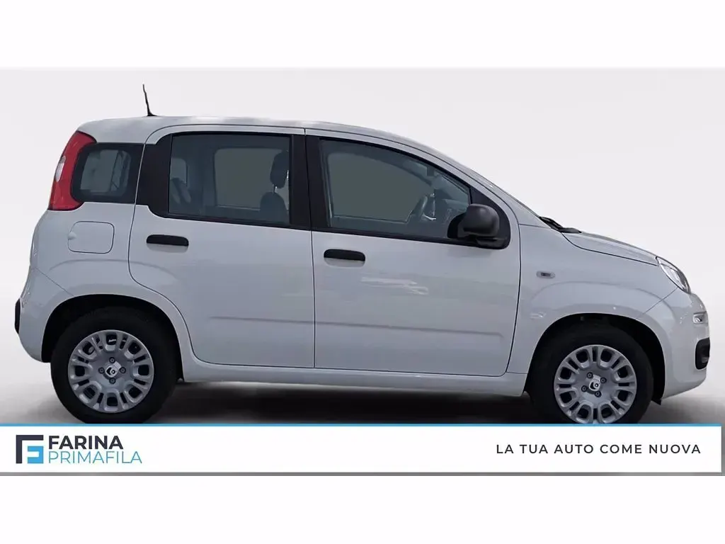 Nuova Fiat Panda S 70 CV (51 kW) 2026 Bianco Utilitaria