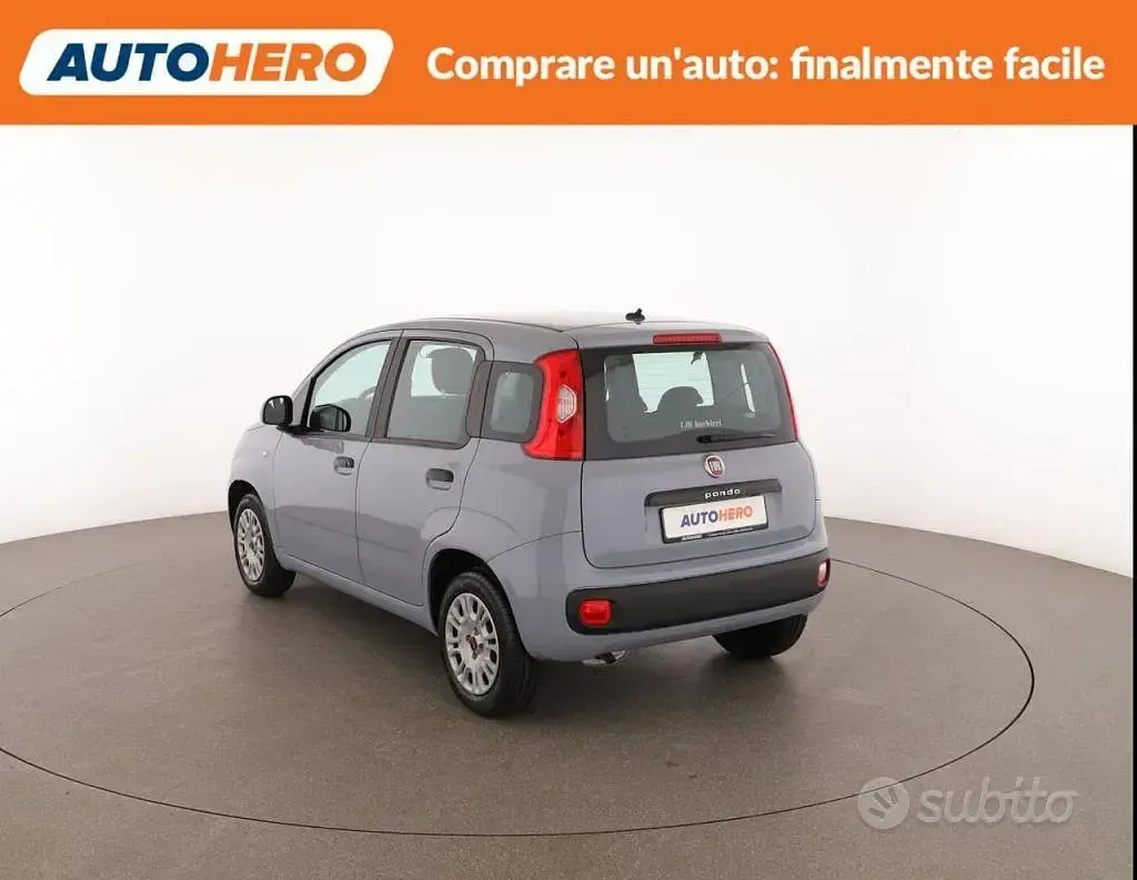 Usata Fiat Panda Easy 69 CV (50 kW) 2020 Grigio Utilitaria