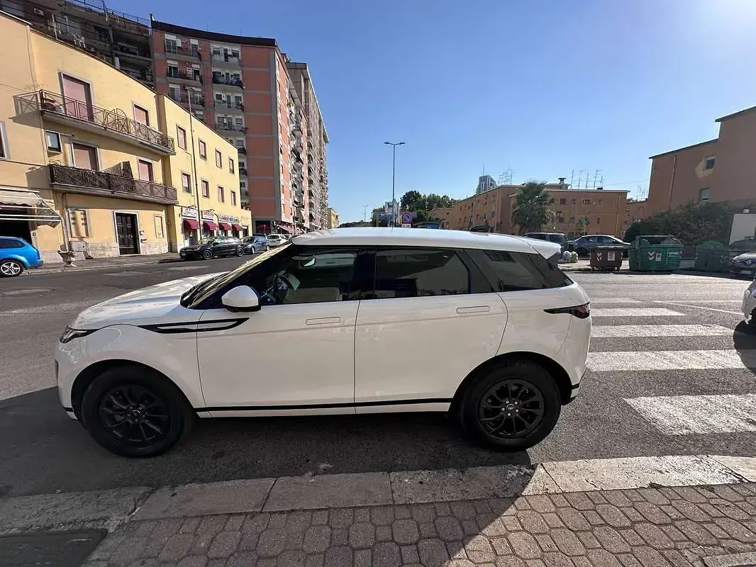 Usata Land Rover Range Rover evoque S 150 CV (110 kW) 2019 Bianco SUV