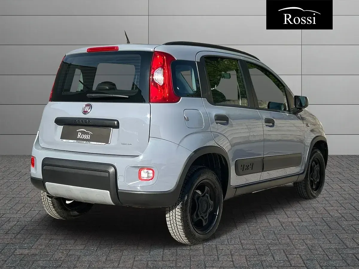 Usata Fiat Panda 4x4 S 86 CV (63 kW) 2019 Grigio Utilitaria